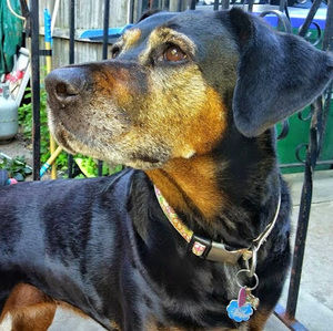 Meet your Posher, Nyssa